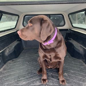 Meet your Posher, Doug